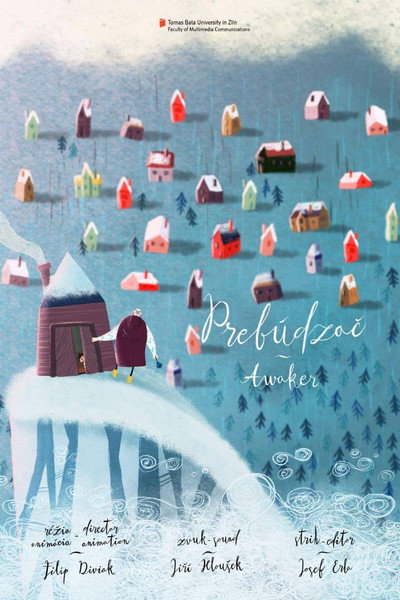 Póster de Awaker