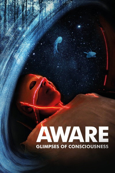 Póster de Aware: Glimpses of Consciousness