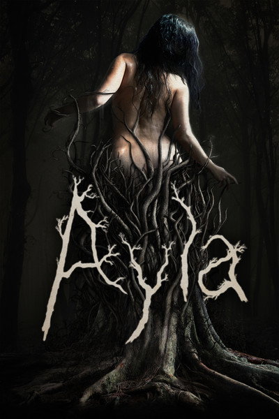 Póster de Ayla
