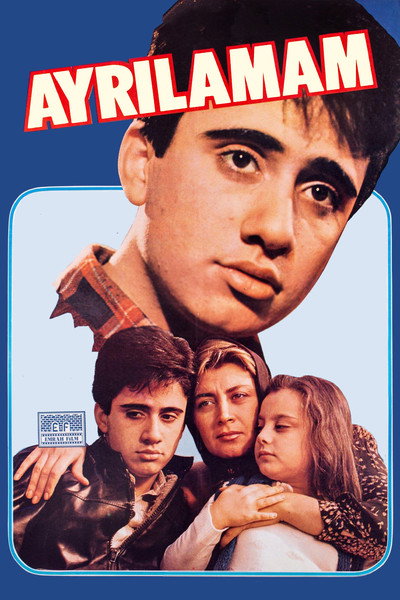 Póster de Ayrilamam