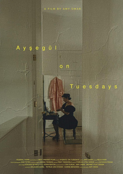 Póster de Aysegül on Tuesdays