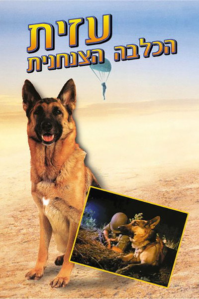 Póster de Azit, el perro soldado