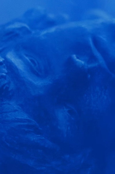 Póster de Azul no Azul
