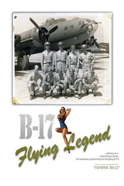 Póster de B-17 Flying Legend