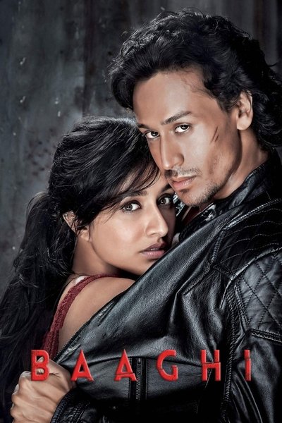 Póster de Baaghi