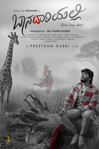 Póster de Baanadariyalli