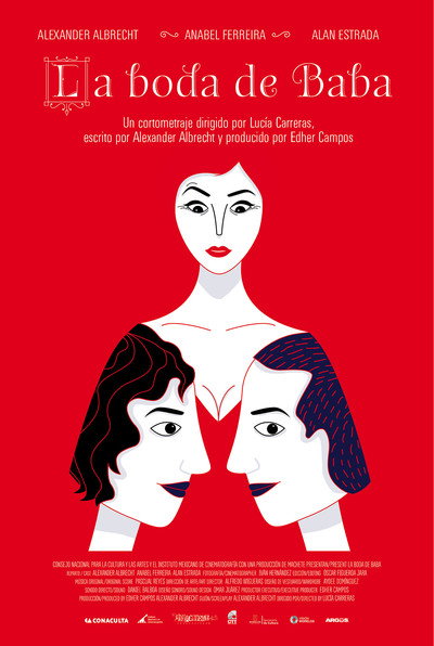 Póster de Baba's Wedding