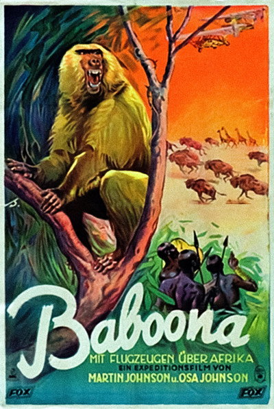 Póster de Baboona