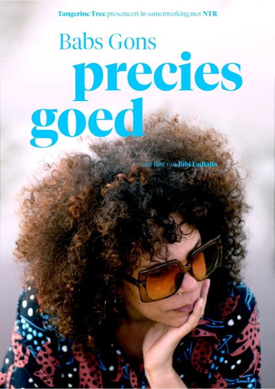 Póster de Babs Gons - Precies Goed