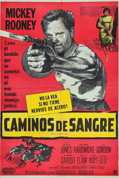 Póster de Baby Face Nelson