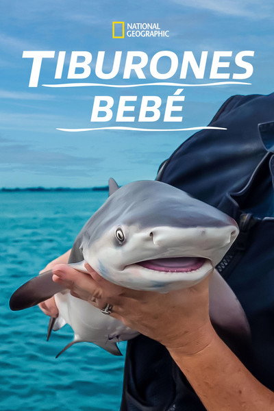 Póster de Baby Sharks