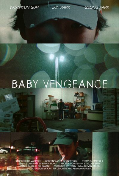 Póster de Baby Vengeance
