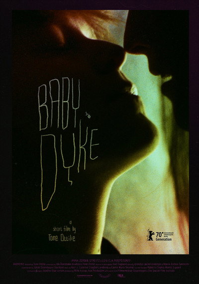 Póster de Babydyke