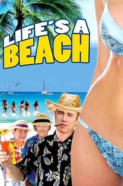 Póster de Bachelor Trip