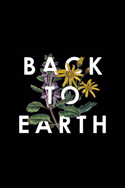 Póster de Back to Earth