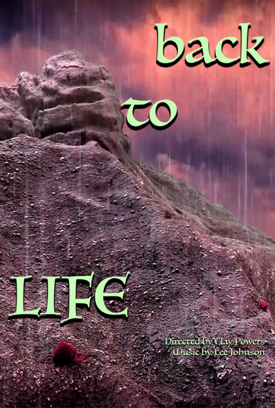 Póster de Back to Life