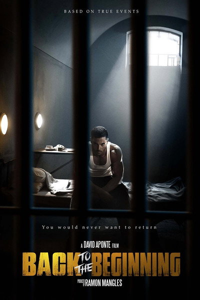Póster de Back to the Beginning