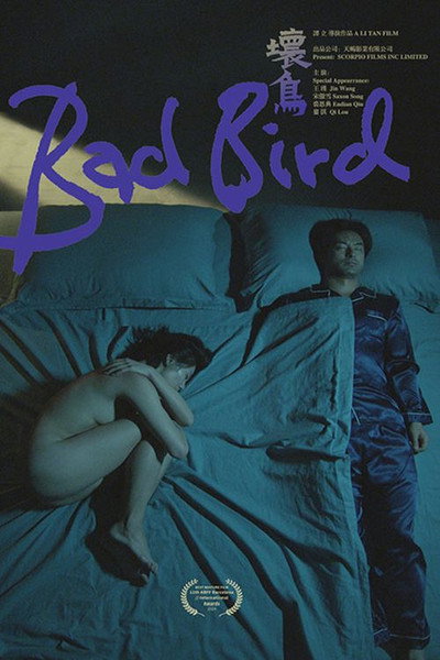 Póster de Bad Bird