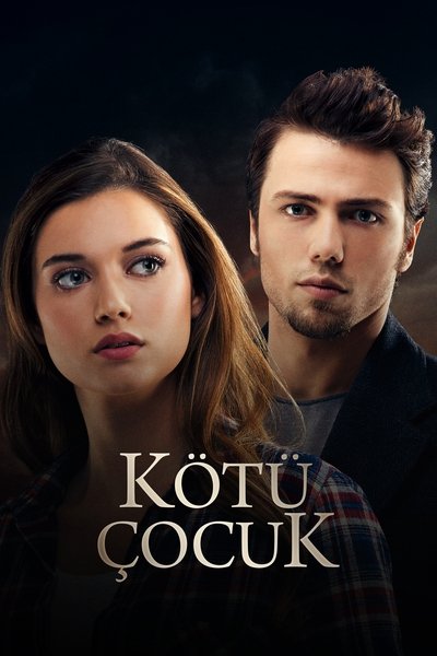 Póster de Bad Boy