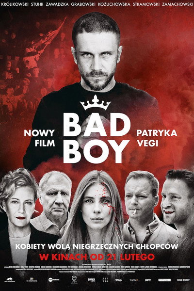 Póster de Bad Boy