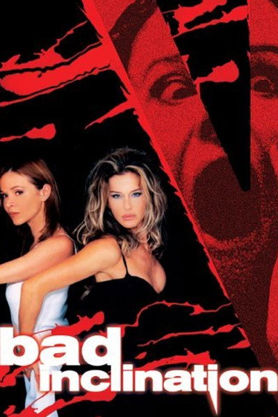 Póster de Bad Inclination