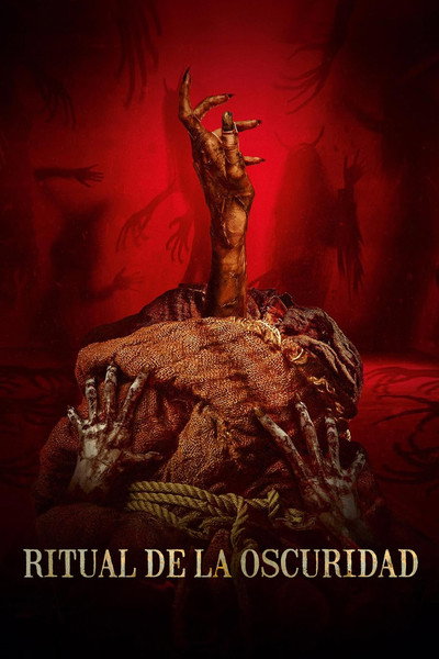 Póster de Bag of Lies