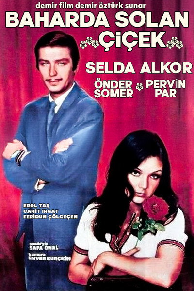 Póster de Baharda solan çiçek