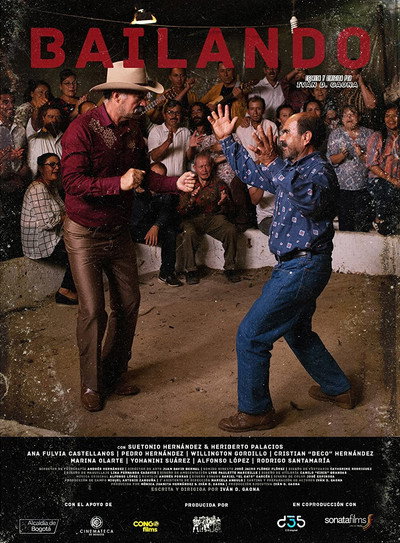 Póster de Bailando