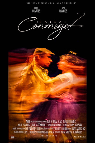 Póster de ¿Bailas Conmigo?