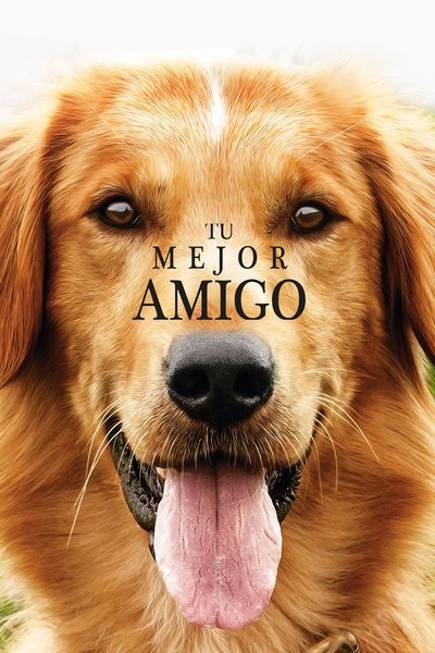 Póster de Bailey.