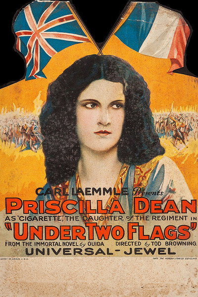 Póster de Bajo dos banderas