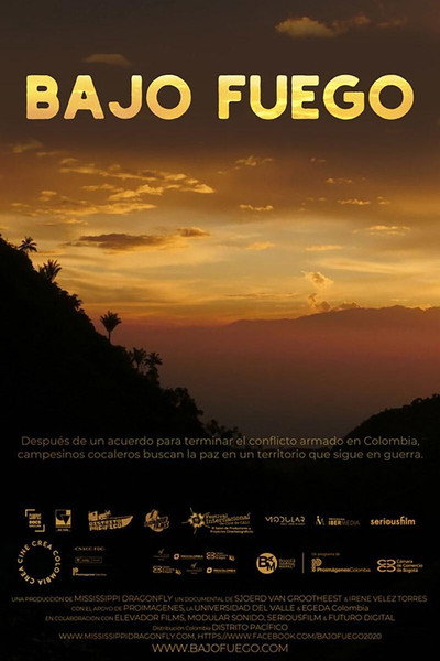 Póster de Bajo Fuego