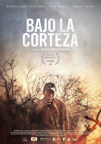 Póster de Bajo la corteza