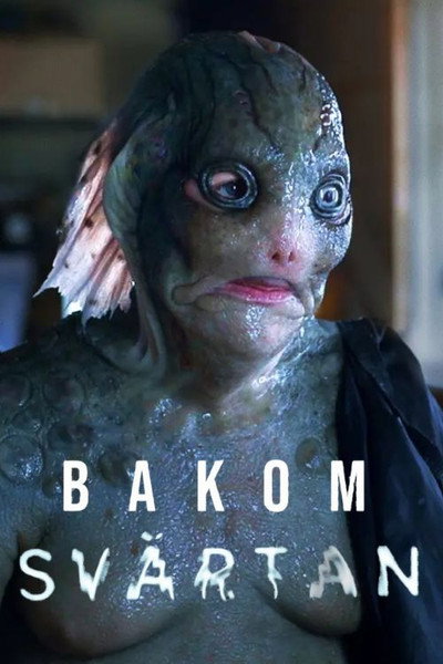 Póster de Bakom Svärtan
