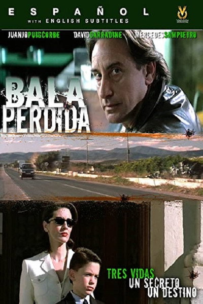 Póster de Bala perdida