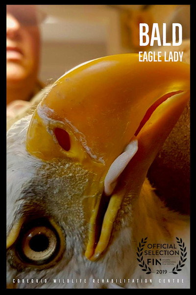 Póster de Bald Eagle Lady