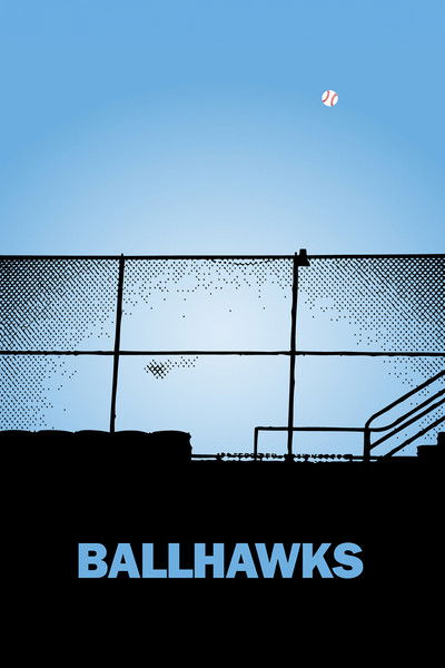 Póster de Ballhawks