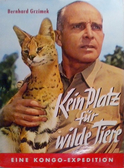 Póster de Bambuti