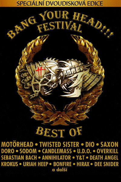 Póster de Bang Your Head: Best of 2001-2005