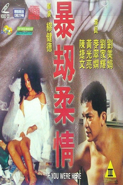 Póster de Bao jie rou qing