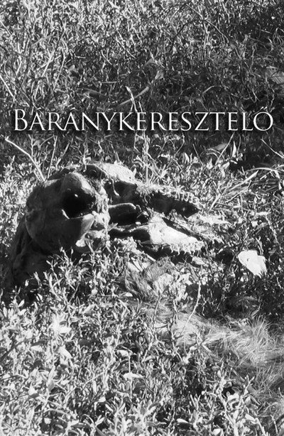Póster de Baranykeresztelo