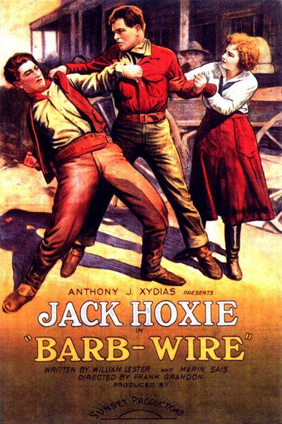 Póster de Barb Wire