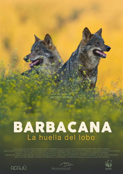 Póster de Barbacana, la huella del lobo