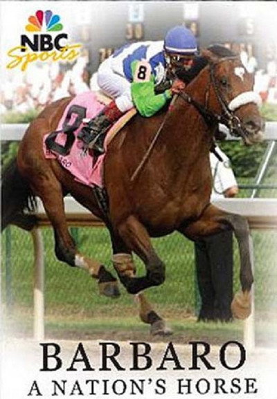 Póster de Barbaro: A Nation's Horse