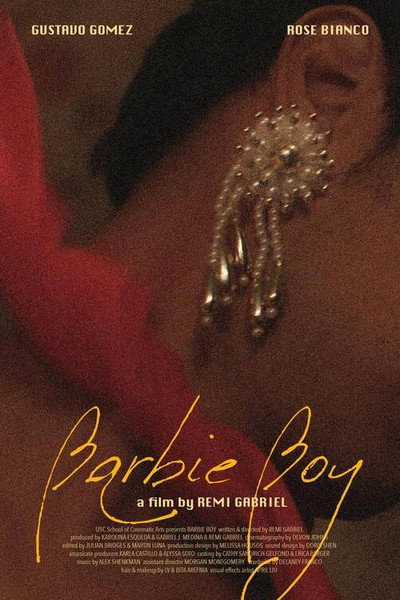 Póster de Barbie Boy