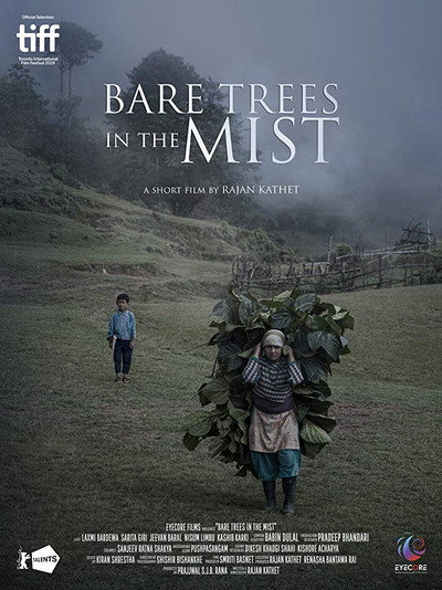 Póster de Bare Trees in the Mist
