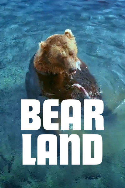 Póster de Bärland