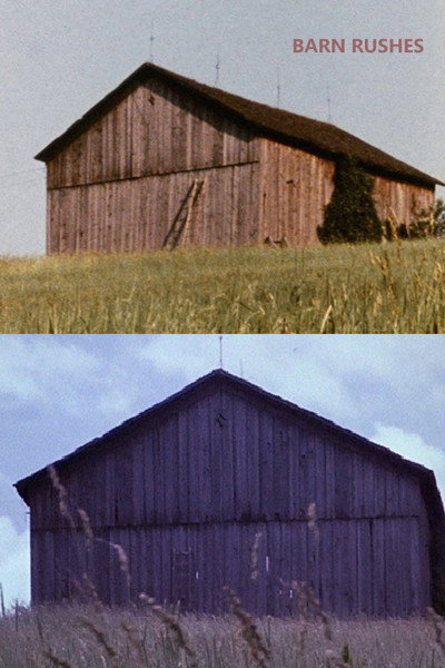 Póster de Barn Rushes
