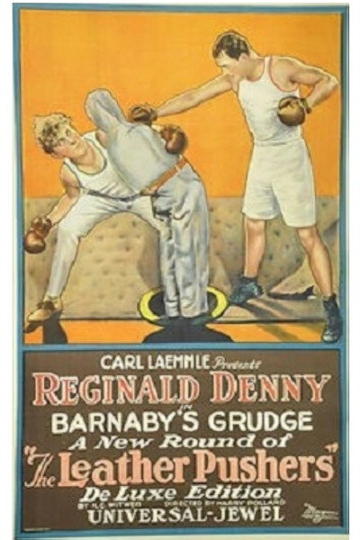 Póster de Barnaby's Grudge