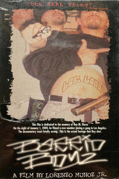 Póster de Barrio Boyz